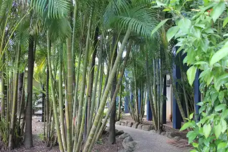 Bohemia Resort Cairns - 14