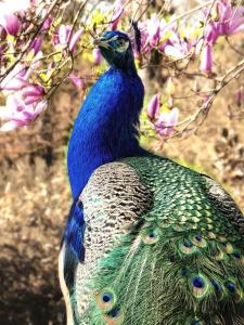 Hofgut Holzmuhle - 17