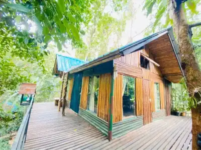 Khao Sok Tree House - 65