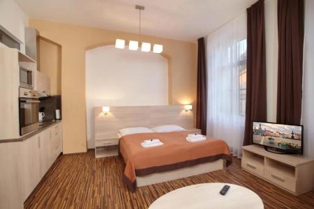 Residence U Cerne Veze - 161