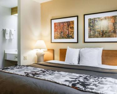 Rodeway Inn Airport - 4