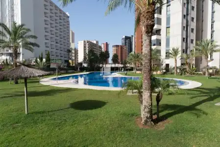 Apartamentos Gemelos 26 - Beninter - 8