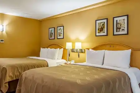Quality Inn Branson - Hwy 76 Central - 59
