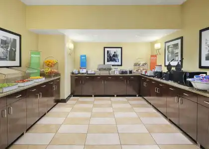 Hampton Inn Dallas-Irving-Las Colinas - 36