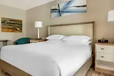 Hilton Grand Vacations Club SeaWorld® - 87