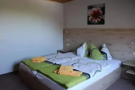 Pension Hubertushof Freiberg - 2