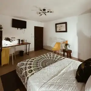 Studio 27 Backpackers - 34