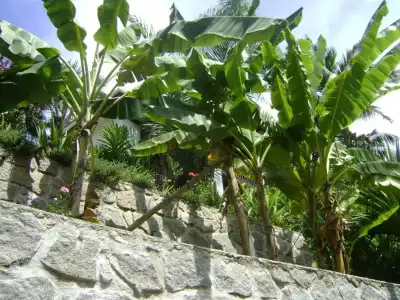 Chalets Bougainville - 84