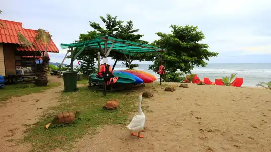 White Sand Beach Resort - 13