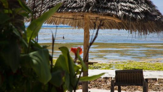 Milele Beach Resort - 11