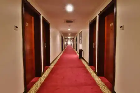Majan Continental - 11