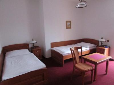 Pegas Brno - 2