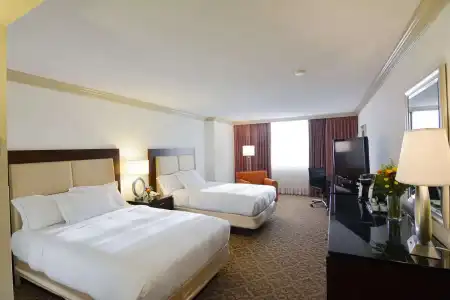 Hilton Palm Beach PBI - 58