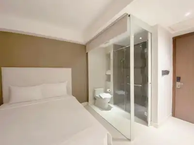 The Luxe - 9