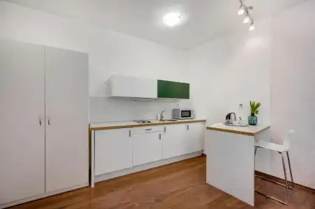 Garni VIRGO - 100