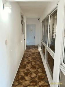 Riparbella - 22