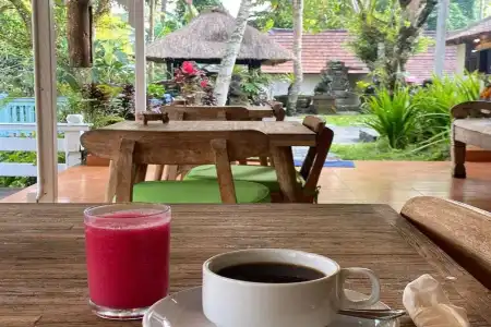 Ubud Sari Health Resort - 11