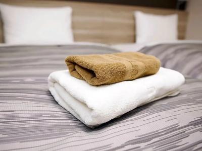 Route Inn Toyama Ekimae - 36