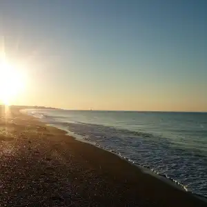 Grun - 16