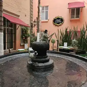 Geneve Ciudad de México - 37