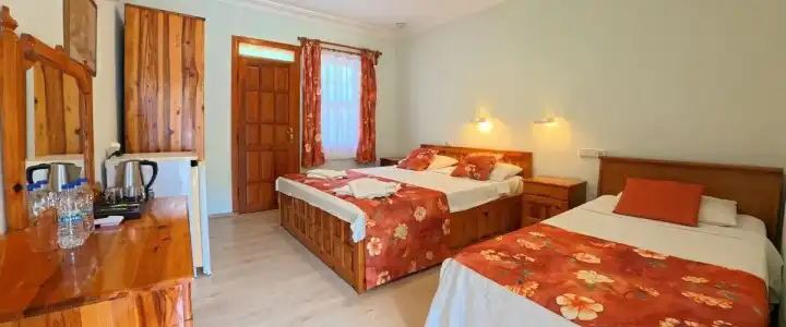 Dalyan Yunus - 2
