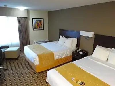 Comfort Inn & Suites - 43