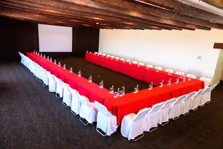 Radisson Tapatio Guadalajara - 18