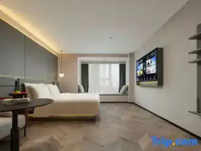 SHOWSE Wellness - 14