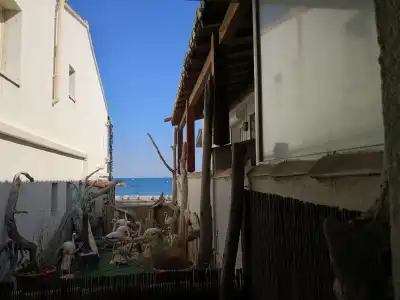 Hôtel Le Dauphin Bleu - 68