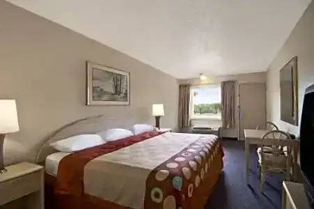 Super 8 By Wyndham Clearwater/Us Hwy 19 N - 18