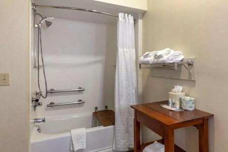 Comfort Suites Raleigh Walnut Creek - 65