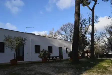 Villaggio Camping Bosco Selva - 34
