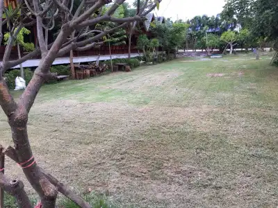 PK Resort - 11