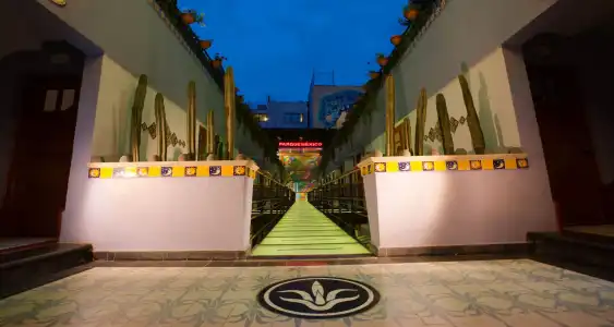 Parque Mexico Boutique - 15