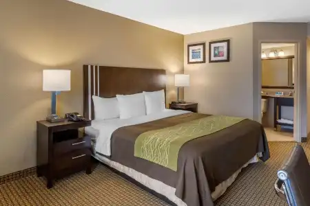 Sonesta Essential NW Houston - 50
