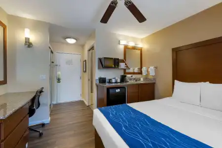 Comfort Inn Gaslamp Convention Center - 45