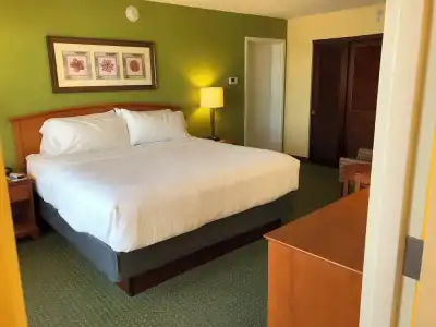 Holiday Inn & Suites Clearwater Beach by IHG - 114