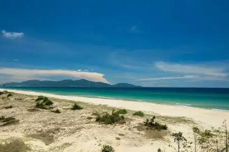 Sheraton Grand Danang Beach Resort & Spa - 63