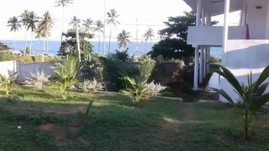 Masha Beach Inn - 1