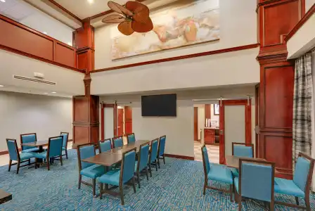 Hampton Inn & Suites Dallas-Arlington-South - 19
