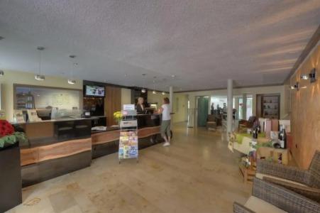 PANORAMA in Neustadt an der Weinstraße - 1