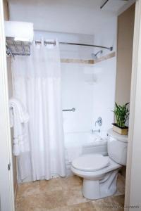 The Zen Palo Alto - 14