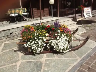 Albergo Soldanella - 12