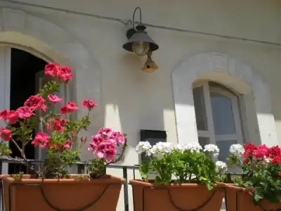 Chicchi di Melograno - 10
