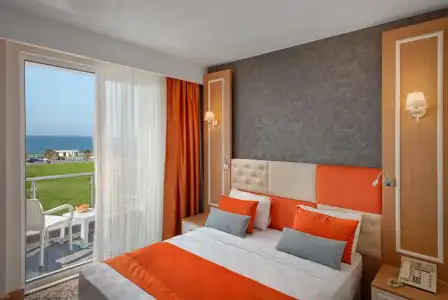 Golden Orange - 4