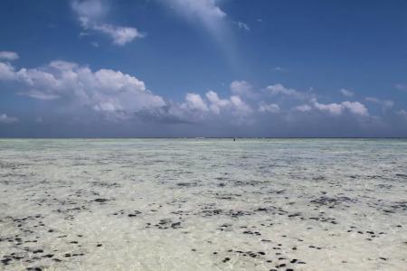 Ujamaa Beach Resort Zanzibar - 17