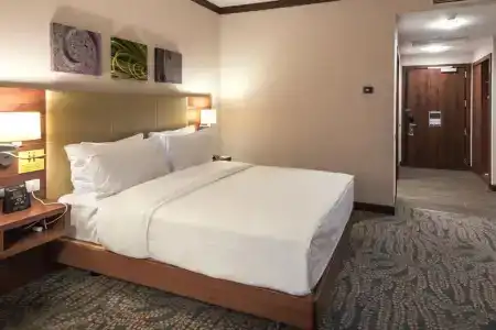 Hilton Garden Inn - 63