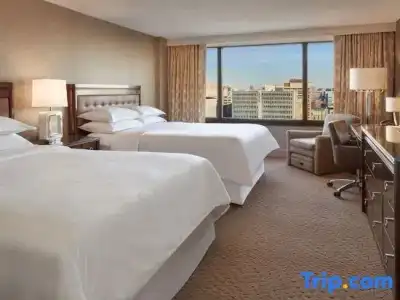 Sheraton Centre Toronto - 102