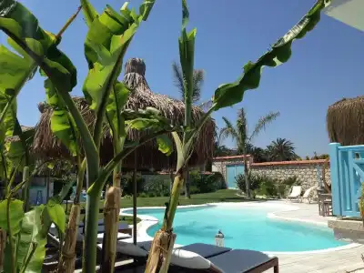 Alaçatı la Vela Butik Otel - 16