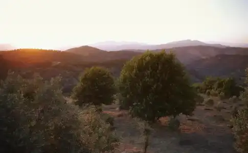Güllü Konakları - 191